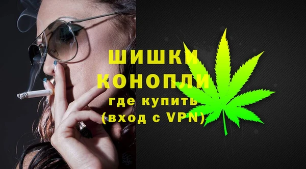 ALPHA-PVP Новозыбков