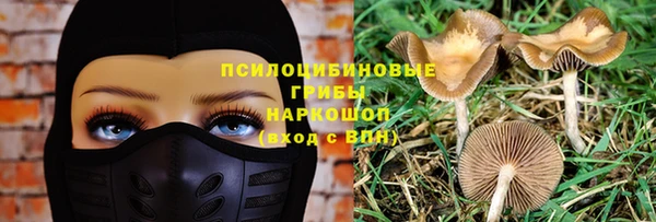 COCAINE Няндома