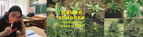 COCAINE Няндома