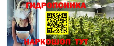 тгк Гусь-Хрустальный