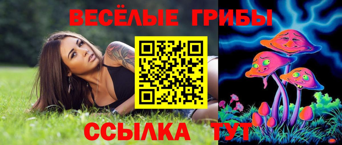 Псилоцибиновые грибы MAGIC MUSHROOMS  Псилоцибиновые грибы прущие грибы  Красноармейск  Вход с VPN 