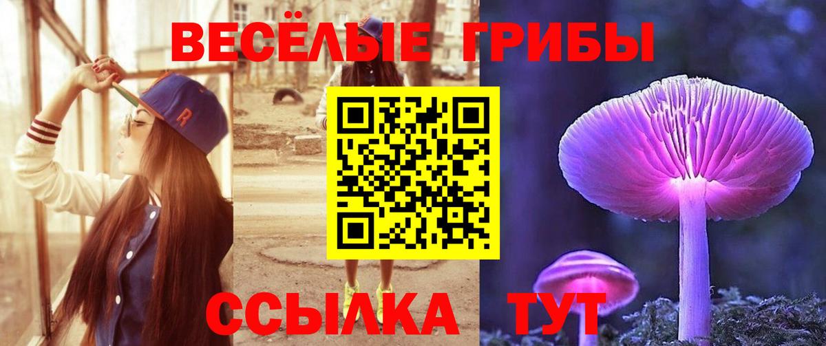 Псилоцибиновые грибы Psilocybine cubensis Красноармейск